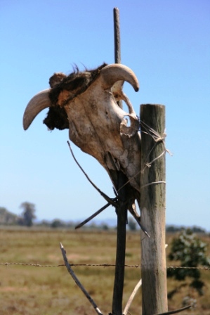 Das Wasser ist knapp